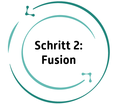 Kreis mit der Aufschrift "Schritt 2: Fusion"