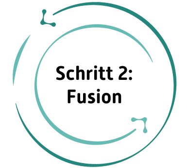 Schritt 2: Fusion