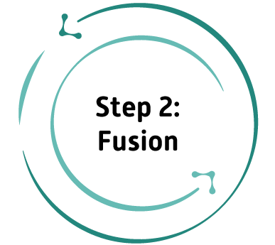 Kreis mit der Aufschrift "Schritt 2: Fusion"